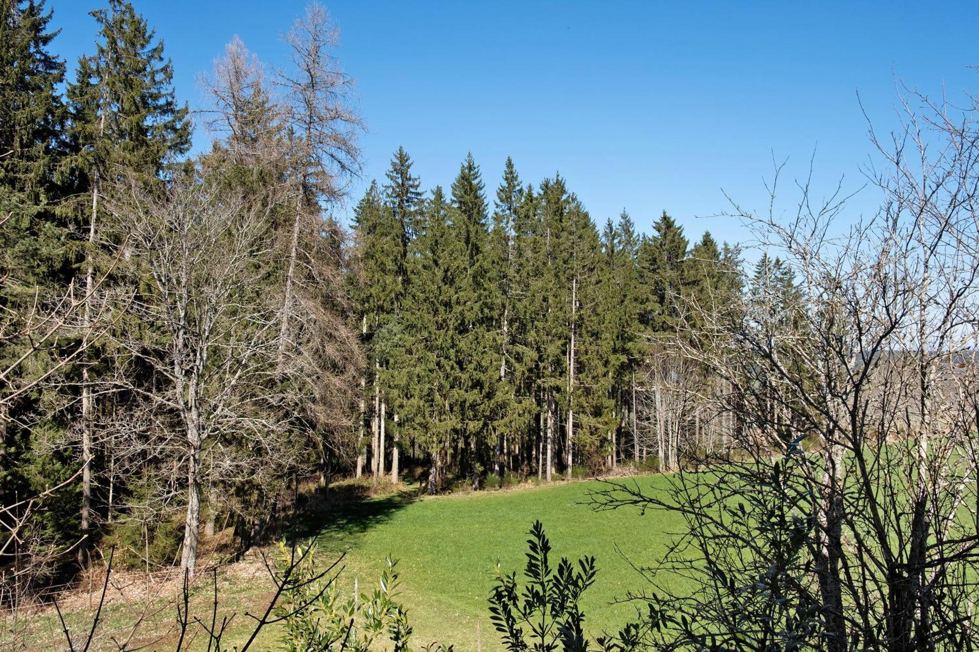 Ferienwohnung Schartenschmiede Sankt Georgen im Schwarzwald Extérieur photo